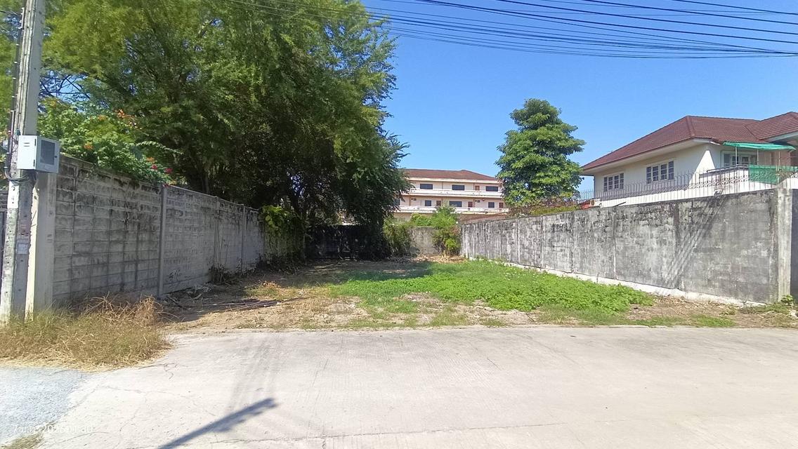 ขายที่ดิน 78 ตารางวา 5