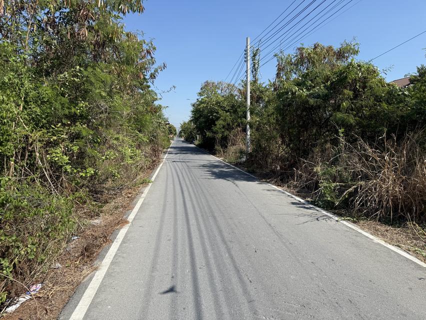 ที่ดินถมแล้ว ไทรน้อย 8