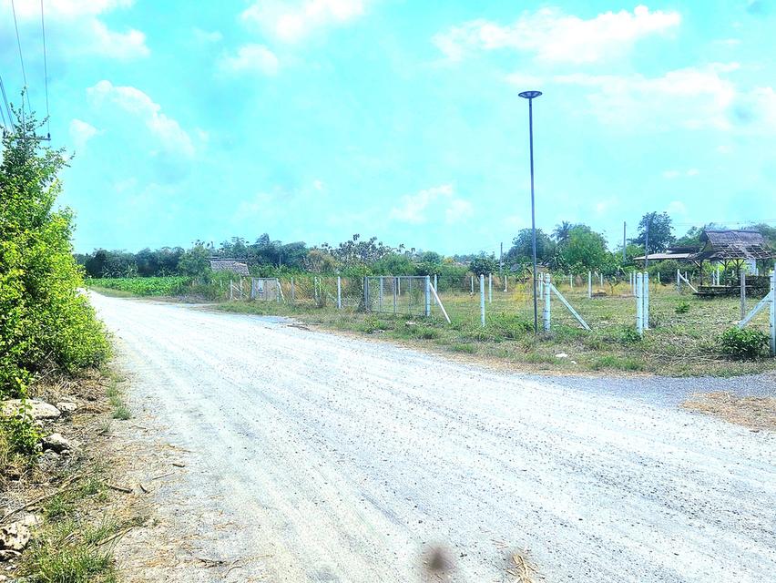 ขายที่ดินโฉนด200ตรว ติดชุมชน ต.พลับพลาไชย อ.อู่ทอง จ.สุพรรณบุรี 4