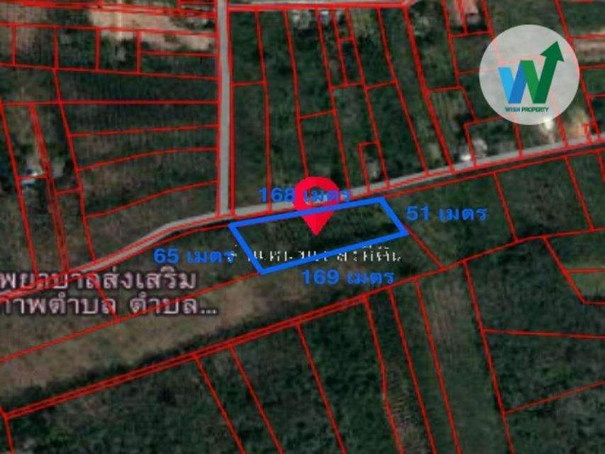 ขายที่ดินแปลงสวยควนขนุนปลูกรวมกับพันธุ์เศรฐกิจนานาพันธ์ 9