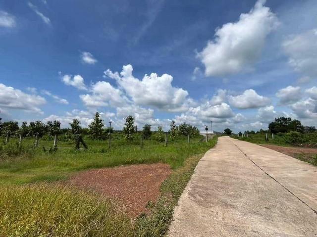 ขาย ที่ดินในนิคมโรจนะ ปราจีนบุรี 23-0-76 ไร่ โครงการ นิคมโรจนะ ปราจีนบุรี ตำบลหัวหว้า ศรีมหาโพธิ,ปราจีนบุรี 2