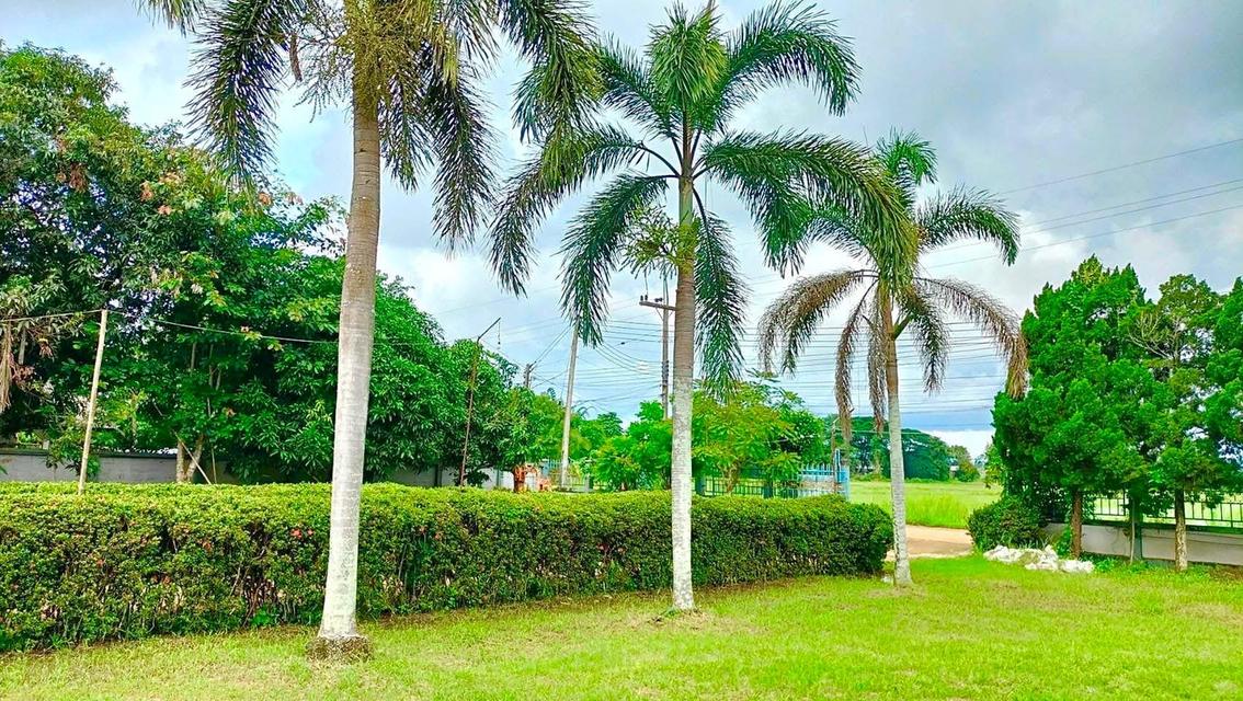 ขายบ้านพร้อมที่ดินสวยๆ ทำเลดี ใกล้จุดสำคัญหลายๆที่ 10