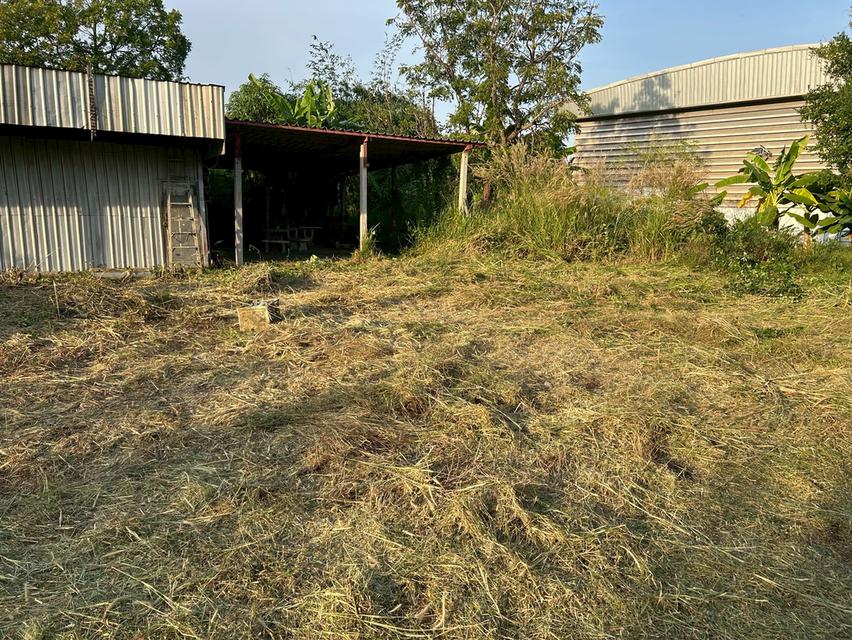 ขายที่ดิน 5 ไร่ ทำเลทองหนองตำลึง ใกล้นิคมอมตะนคร 7