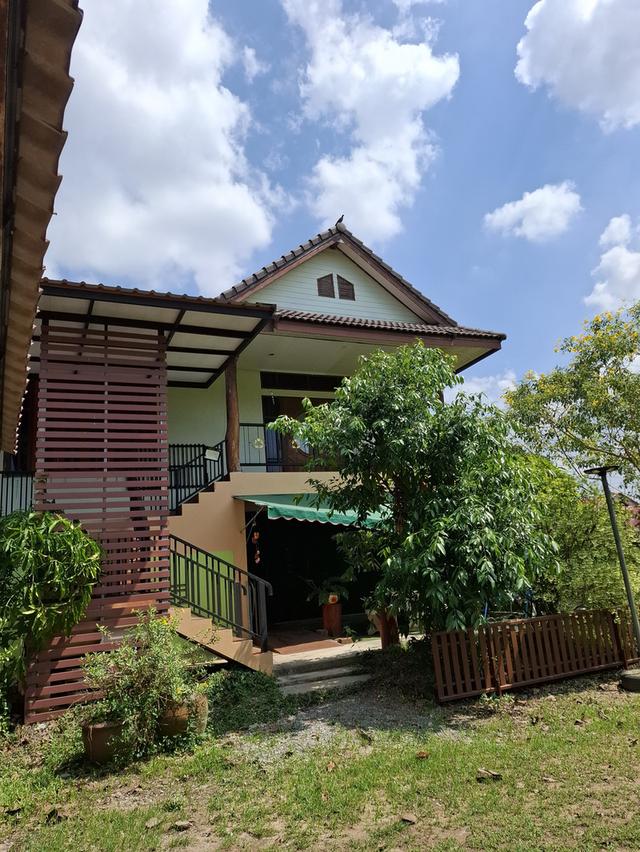 บ้าน2 ชั้น 4ห้องนอน 2ห้องน้ำ พื้นที่ใช้สอย 260 ตรม. พร้อมที่ดิาปลูกผลไม้รอบบ้าน 1 ไร่ 3