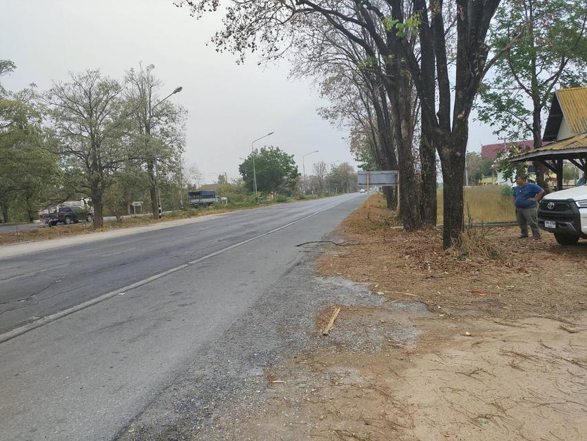 ขายที่ดินเปล่า ทำเลดี ติดถนน​ อำเภอวชิรบารมี จังหวัดพิจิตร  3