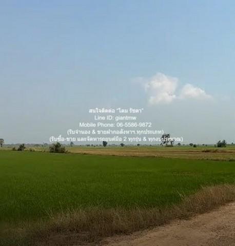 ที่ดิน //ต่ำกว่าราคาประเมิน//ขายที่ดินทุ่งนาข้าว อ.นครหลวง จ.พระนครศรีอยุธยา 17-0-76 ไร่ ราคา 3 ล้านบาท 3000000 BAHT พื้ 4