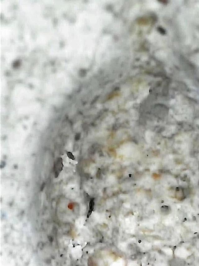 พระสมเด็จวัดระฆังพิมพ์ใหญ่เกศทะลุซุ้ม 20