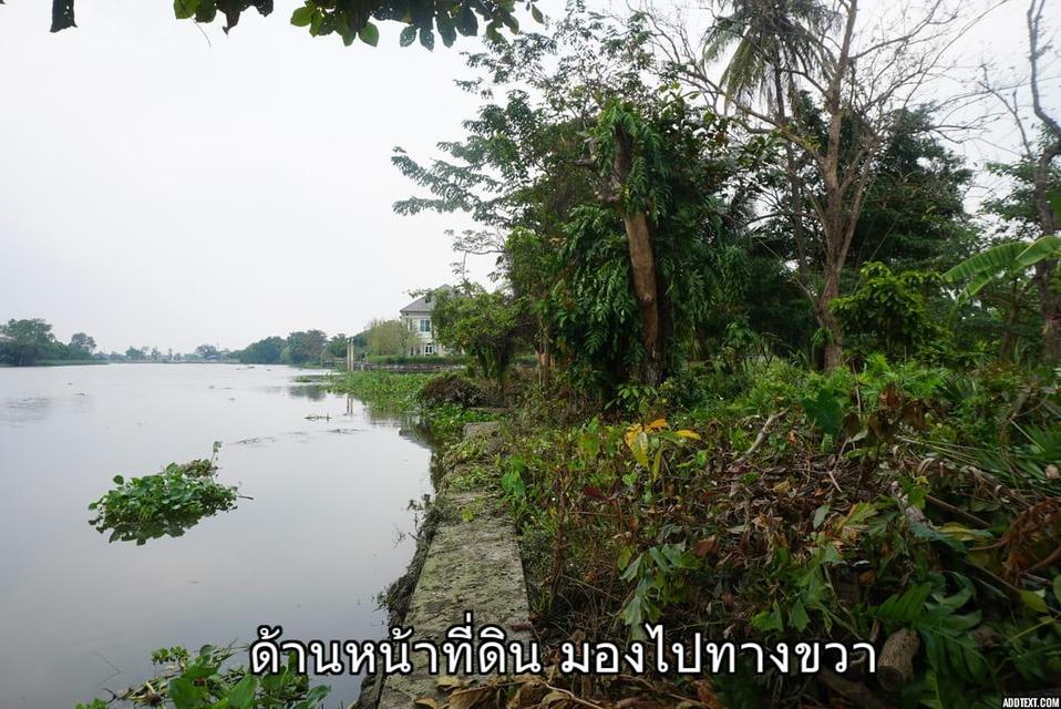 ขายที่ดินติดแม่น้ำท่าจีน อ.สามพราน จ.นครปฐม 5