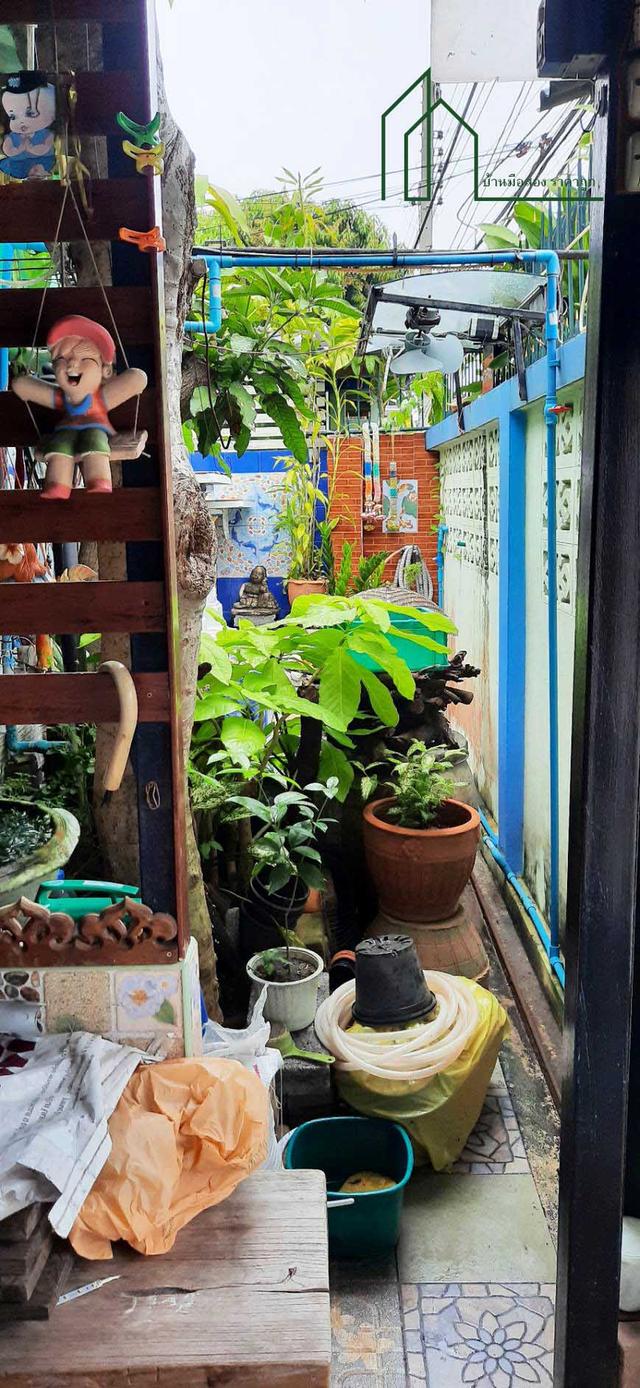 บ้านเดี่ยว 44 ตรว. สร้างเอง หลังโรบินสันสมุทรปราการ ซอยอุ่นอารี เทศบาลบางปู 11