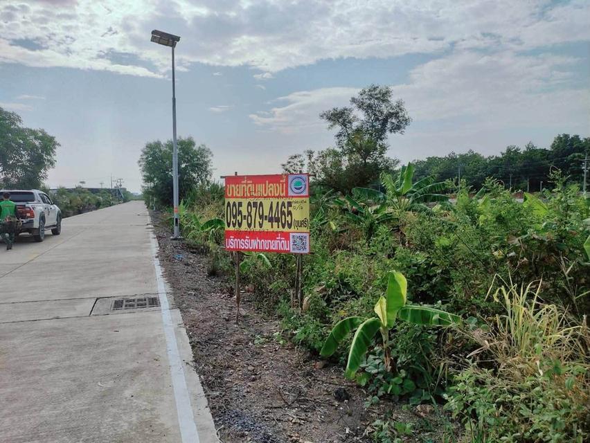 ขายด่วนที่ดิน 452 ตรว ติดถนนคอนกรีตสาธารณะ ถมแล้ว ซ.คลองสาม 12/17 คลองหลวง ปทุมธานี 1