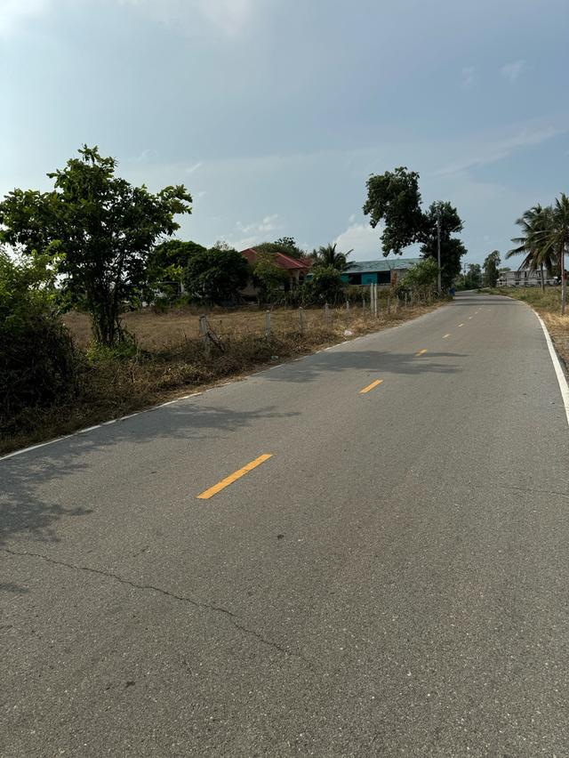 ที่ดิน 2 ไร่  ติดทะเลสวยๆ ไม่ไกลจากที่ท้องเที่ยว บ้านเขากะโหลก ตำบลปากน้ำปราณ อำเภอปราณบุรี จังหวัดประจวบคีรีขันธ์ 77120 4