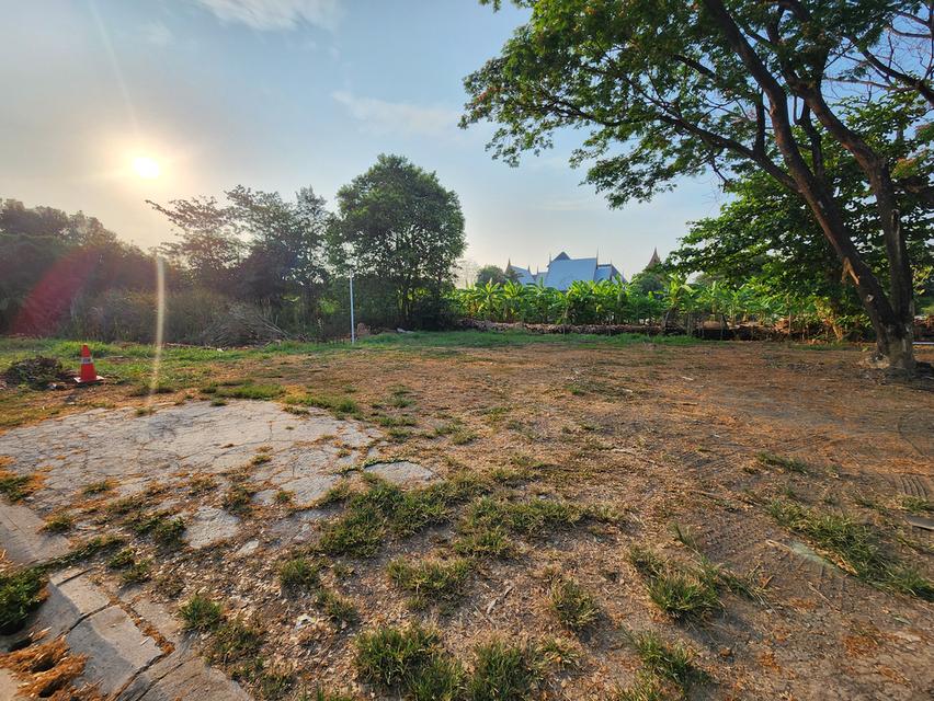 ที่ดินเปล่า 220ตรว. ริมคลองทวีวัฒนา กรุงเทพ 7