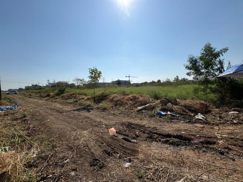 ขายที่ดินถมแล้ว 2 แปลงติดกัน พร้อมโฉนด คลอง 5 ธัญบุรี 2 งาน 80 ตรว. เข้าออกได้ 2 ทาง ใกล้มอเตอร์เวย์ ฟรีโอน 1