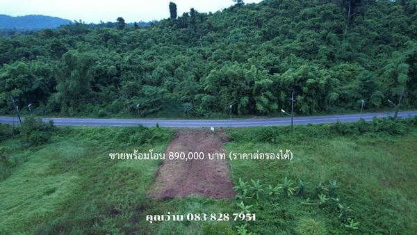 ขายที่ดิน 98 ตารางวา มีโฉนด ต.พรหมณี ติดถนนหลวง วิวเขาชัด ใกล้ รร.จปร. 11