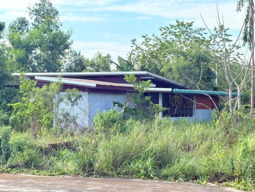 ขายบ้านพร้อมที่ดินทำเลดีติดถนน 1