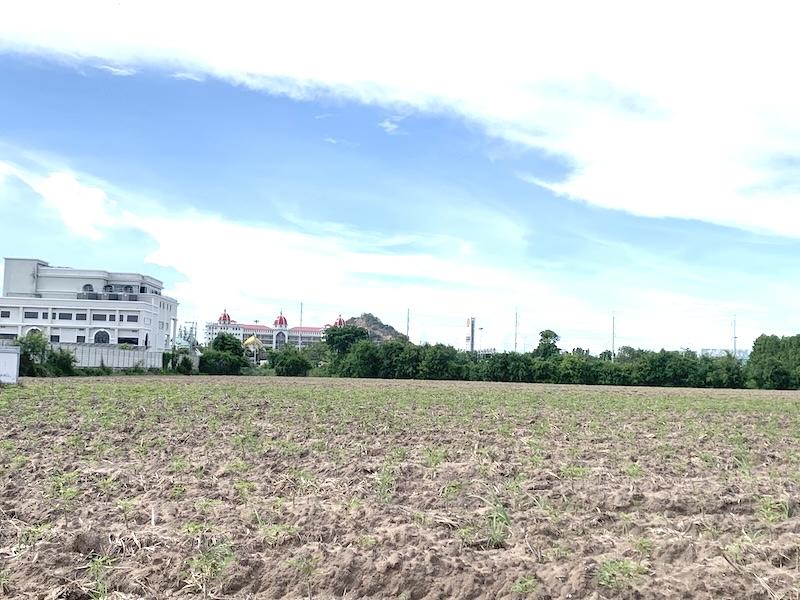 ขายที่ดินใกล้ถนนข้าวหลาม 16 ไร่ ติดทาง 2ด้าน ตรงข้ามโรงเรียนสารสาสน์วิเทศบูรพา ที่ดินเข้า-ออกได้หลายทาง 4
