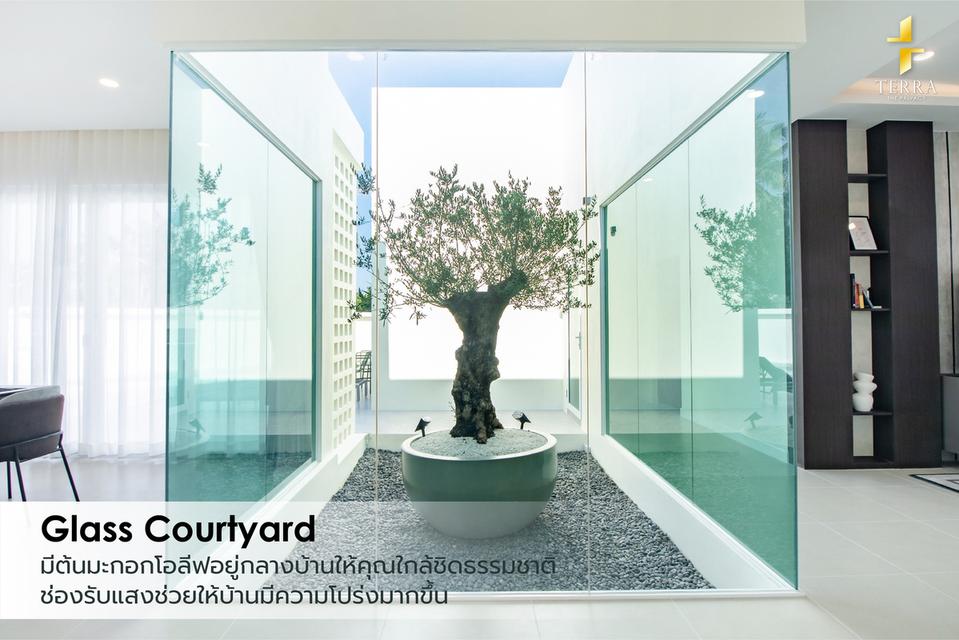 หัวหิน GLASS COURTYARD บ้านเดี่ยว 3 ห้องนอน 3 ห้องน้ำ พร้อมสระว่ายน้ำส่วนตัว ไม่มีค่าส่วนกลาง 6