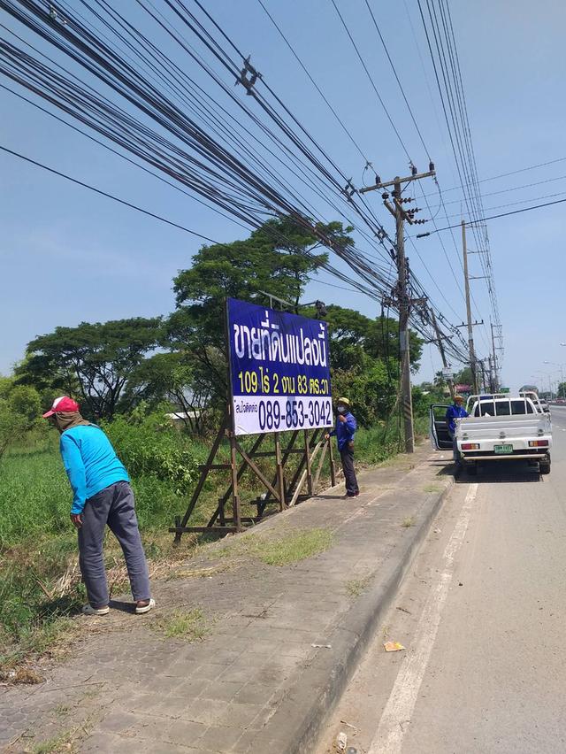 ขายที่ดิน รังสิต-นครนายก คลอง 11