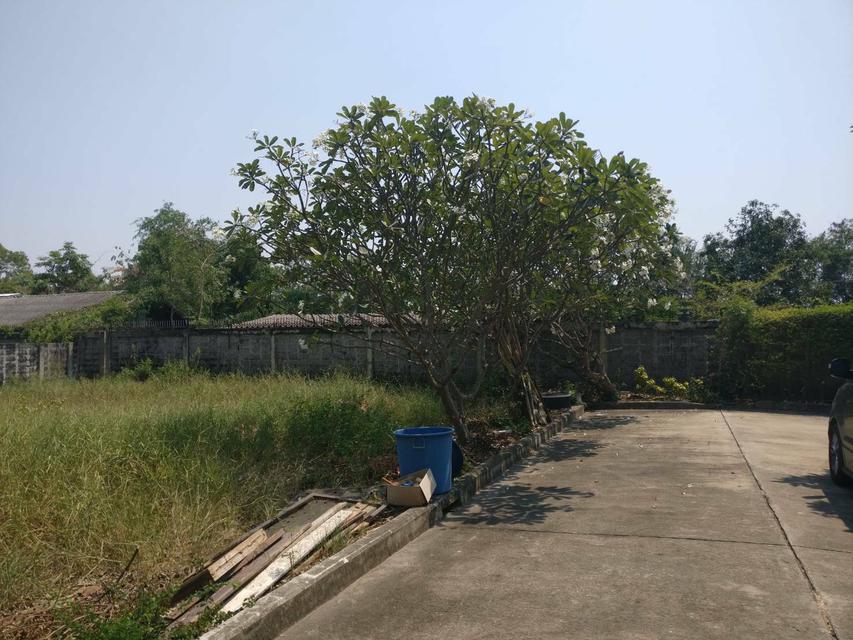 รูป ขายที่ดินเปล่าสำหรับปลูกบ้าน 78 ตารางวา แปลงมุม หมู่บ้านปัญญาเลคโฮม คลองสามวา กทม. 4