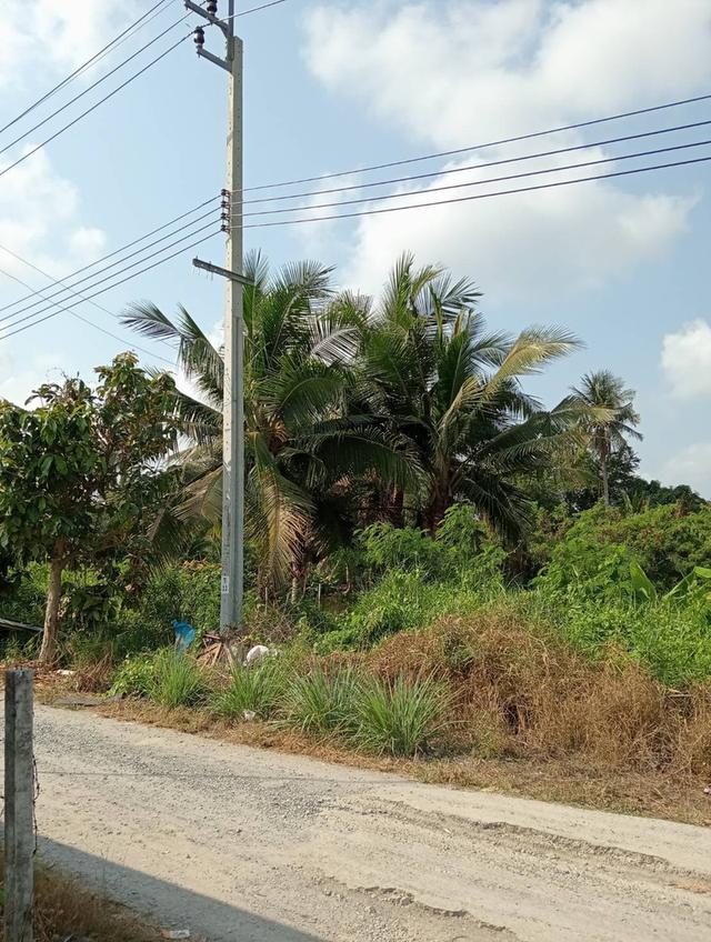 ขายที่ดินบ้านสวน ราคาถูกๆ1ไร่4ล้านหนองแขม 6