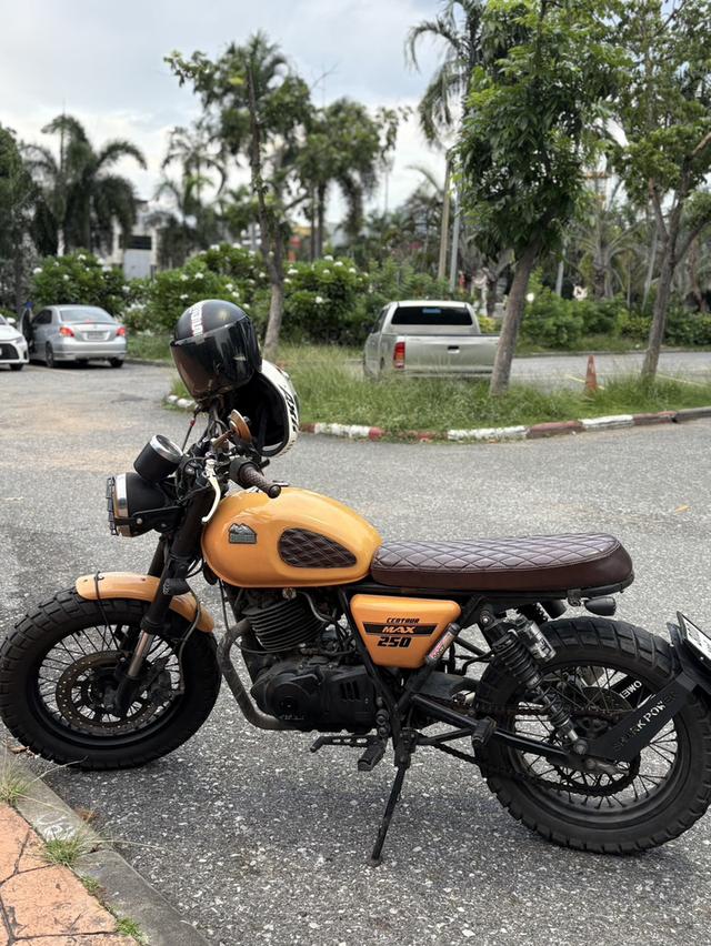 Stallions 250 centaur