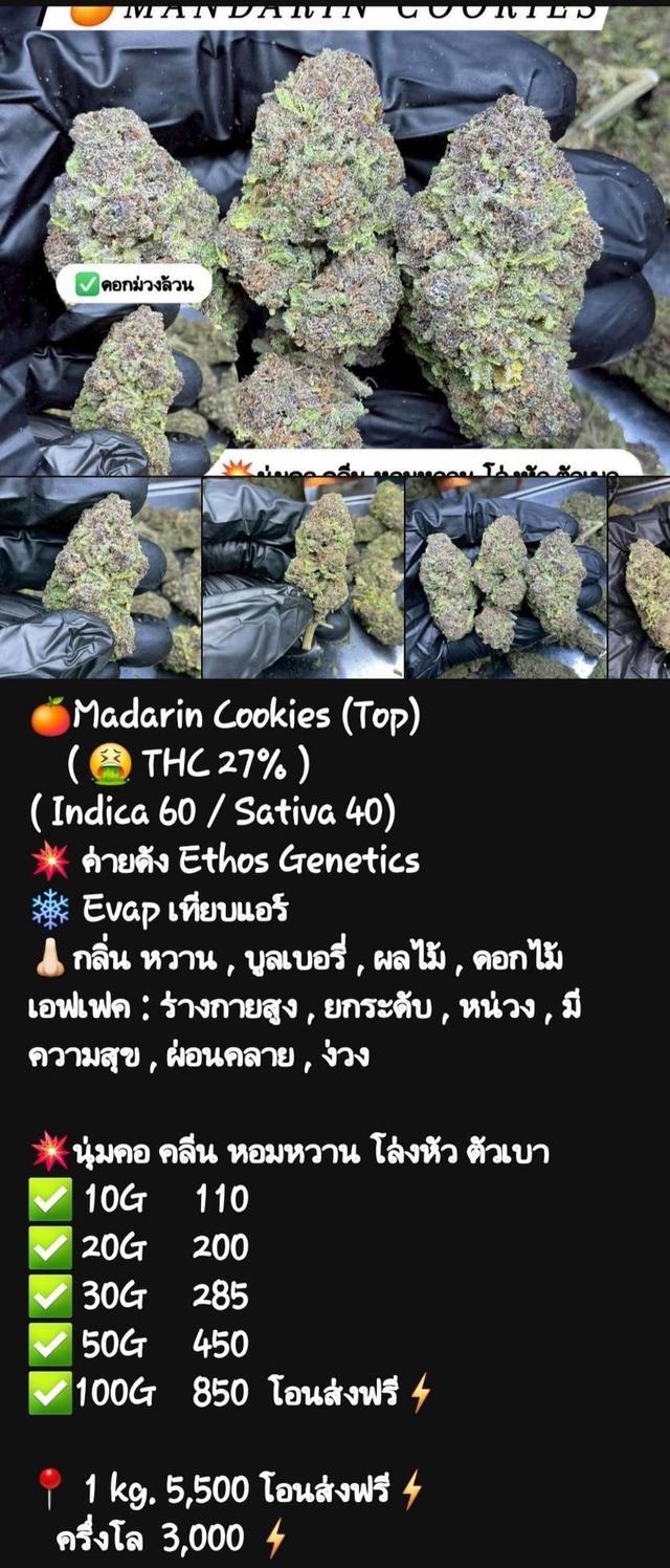 กัญๆ📲💯 5