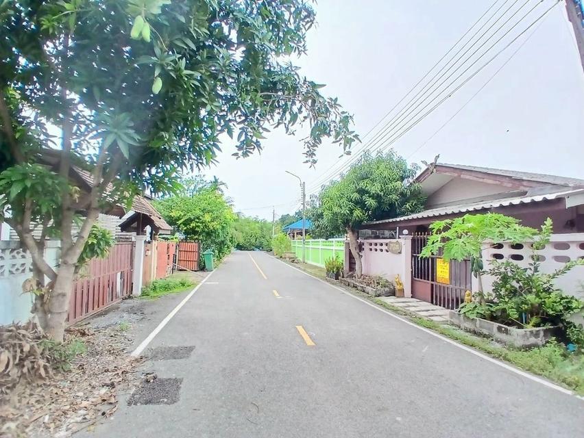 ขายบ้านเดี่ยวชั้นเดียว ถนนเลียบคลองนายหลีก บางบัวทอง นนทบุรี 3