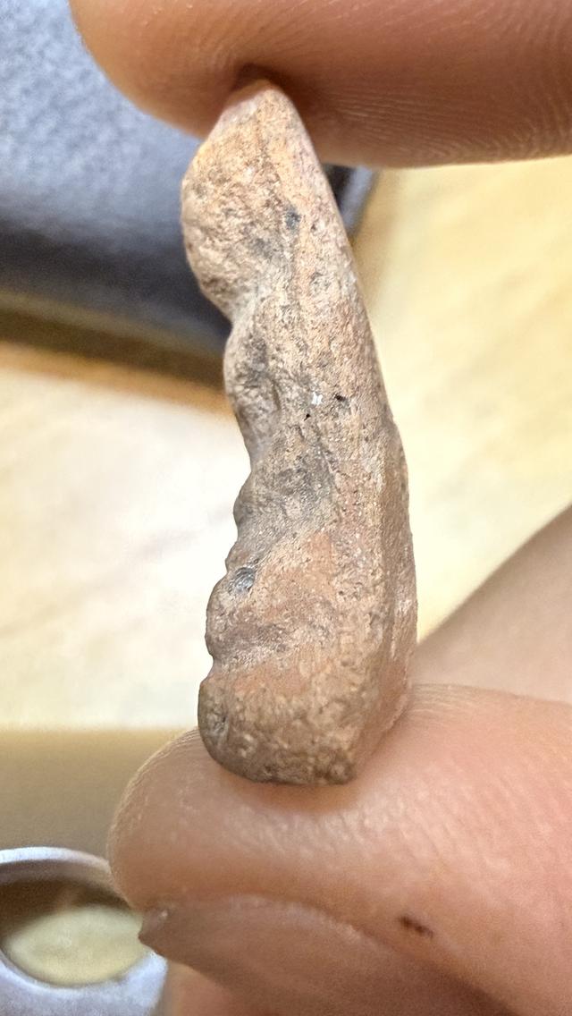 พระโป้ กรุบางกระทิงอยุธยา รูปที่ 4