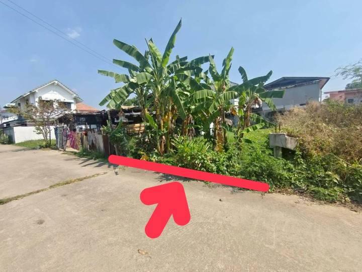 ที่ดินทวีวัฒนา 30 ตรว.ราคาพิเศษ 1