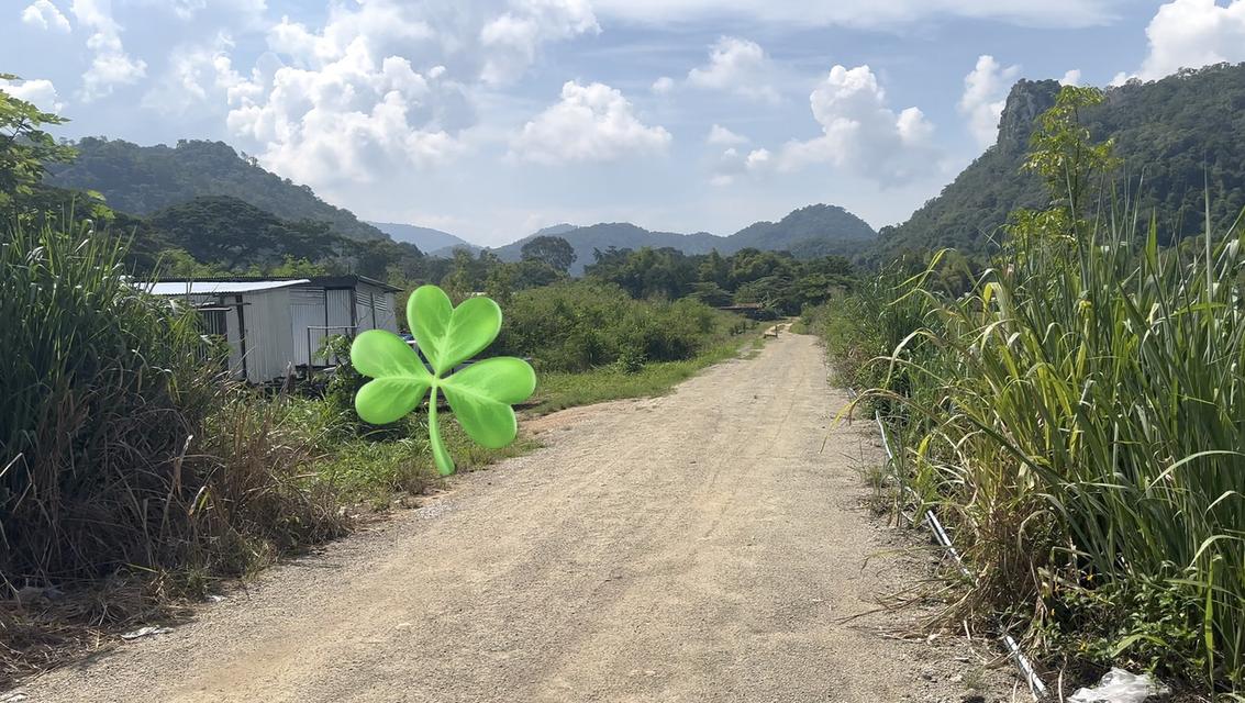 ที่ดินหมูสี ใกล้ 4 แยกกุดคล้า ธนะรัชต์ 2ไร่ 24ตรว  ทำเลดี วิวเขา เหมาะสร้างบ้าน 4