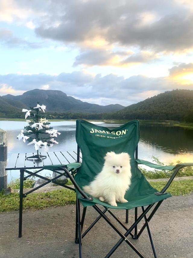 ปอม ชายจริงหญิงแท้ น่ารักๆ 13