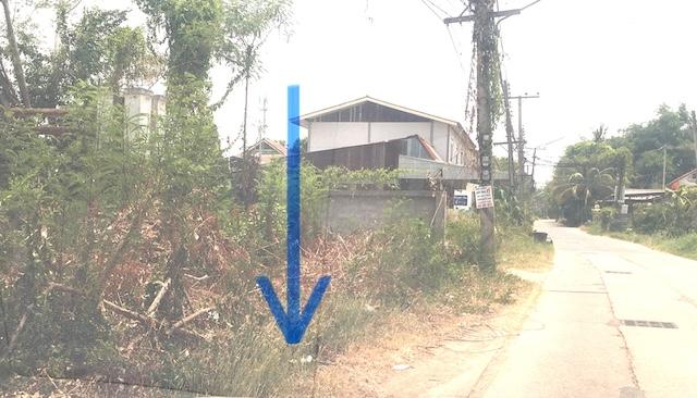 ขายที่ดินหมื่นไวยใกล้ร้านขนมจีนครูยอด เนื้อที่ 96ตร.วหน้ากว้าง 18เมตร ลึก 20เมตร ที่ดินอยู่หน้าหมู่บ้าน ติดถนน 2ด้าน ทำเลค้าขายได้ ตำบลหมื่นไวย 2