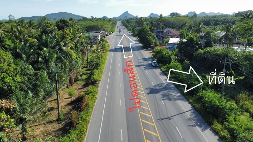 ขายที่ดินทางไปท่าเรือเกาะสมุยติดถนนใหญ่อำเภอดอนสัก 7