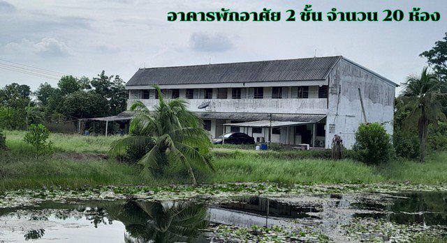 โรงงานหนองเสือ พร้อมใบ รง.4 พื้นที่สีชมพู สามารถเปลี่ยนประเภ