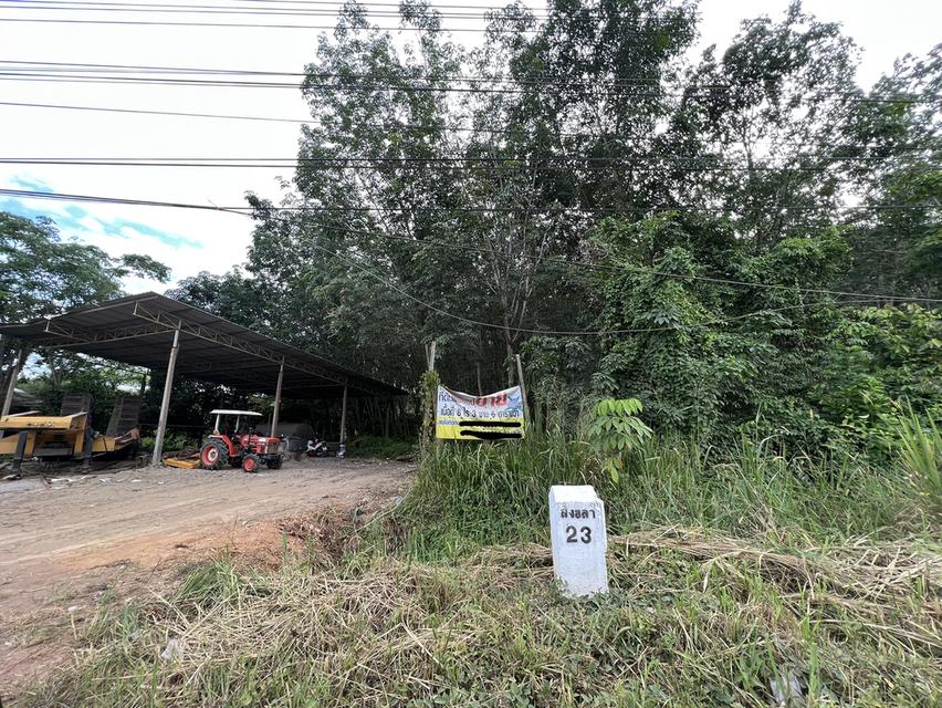 ที่ดิน ที่ดินพร้อมสวนยาง เนื้อที่ 4ไร่ 1งาน 90ตรว. พิกัด 7°03'09.3"N 100°38'59.5"E 2