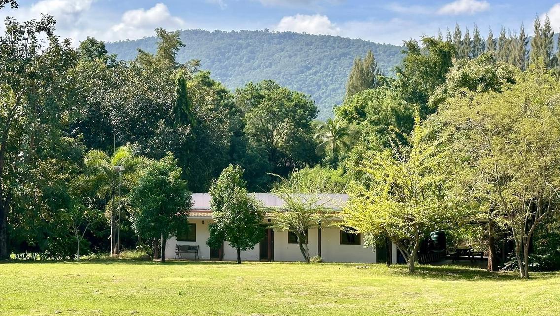 พูลวิลล่าหรู เขาใหญ่ อาณาจักรสุดพรีเมียม รูปย่อยที่ 4