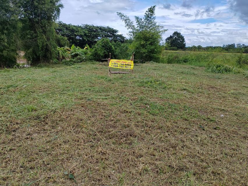 ขายที่ดินวิวสวยเชียงใหม่คันคลอง-เส้นเลี่ยงเมืองสันป่าตอง 2