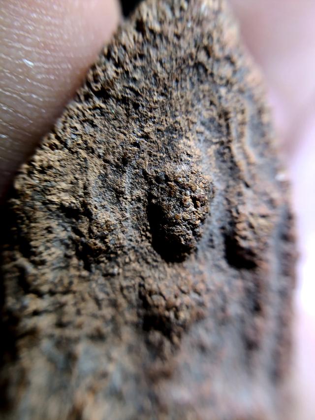 พระกรุบ้านกร่าง แท้แท้