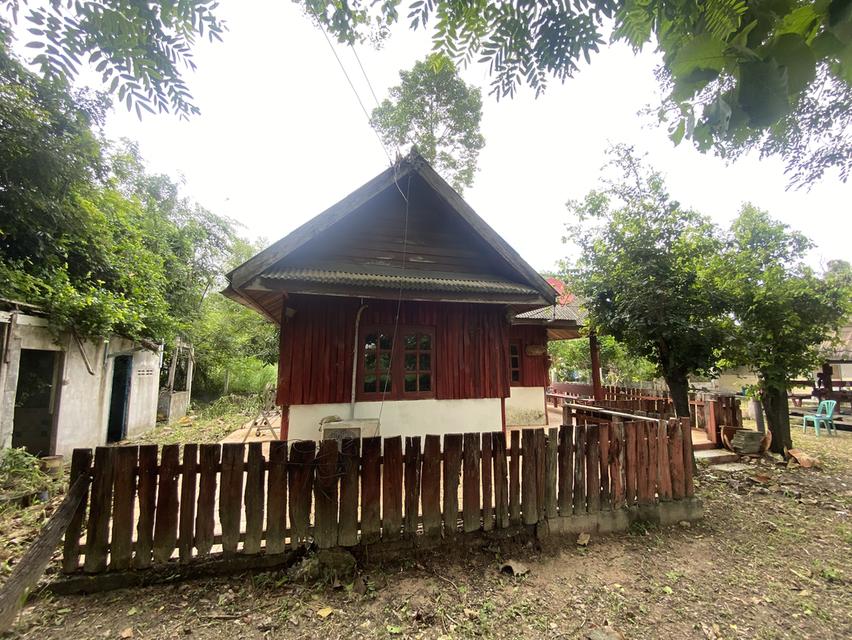 ขายบ้านพร้อมที่ดิน ต.หนองเหียง อ.พนัสนิคม ชลบุรี 6