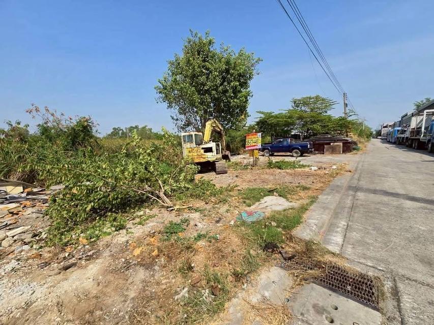 ขายด่วนที่ดินใกล้ตลาดไท 403 ตารางวา ติดถนนคอนกรีตสาธารณะ 2 ด้าน ไอยรา 18,19 อ.คลองหลวง จ.ปทุมธานี 3