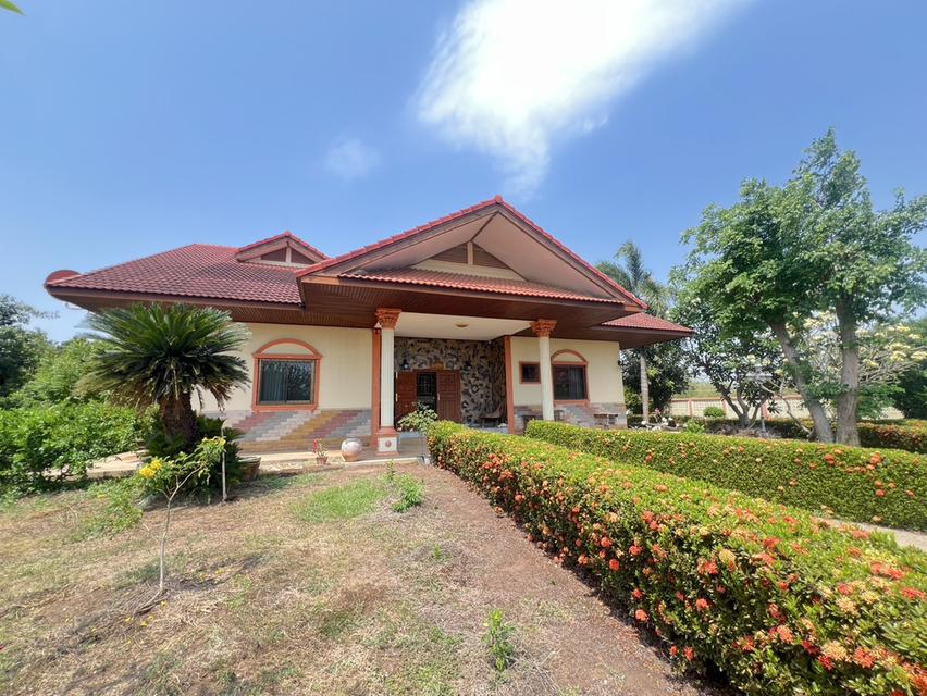 ขายด่วน! ที่ดินผืนใหญ่ 12 ไร่ พร้อมบ้าน 4 หลัง (ตกแต่งด้วยไม้สัก) – อ.สามชุก จ.สุพรรณบุรี 15