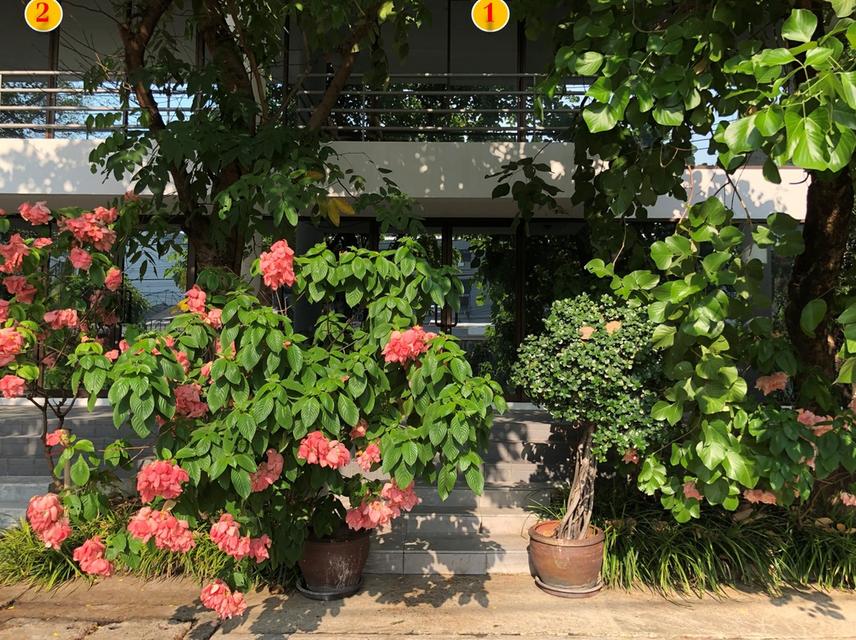 [ราคาพิเศษ] ขายตึก โฮมออฟฟิศ 4 ชั้น ติดMRTศรีนุช สายสีเหลือง ถนนสุขุมวิท 77 อ่อนนุช 62 แยกศรีนครินทร์–อ่อนนุช 17