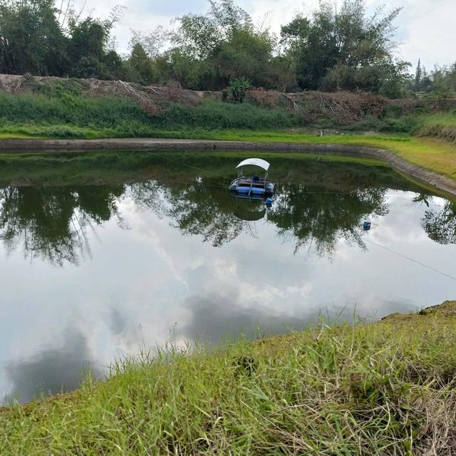 📣ขายสวนทุเรียน100ไร่ เขาไร่ยาอำเภอเมืองจันทบุรี 6