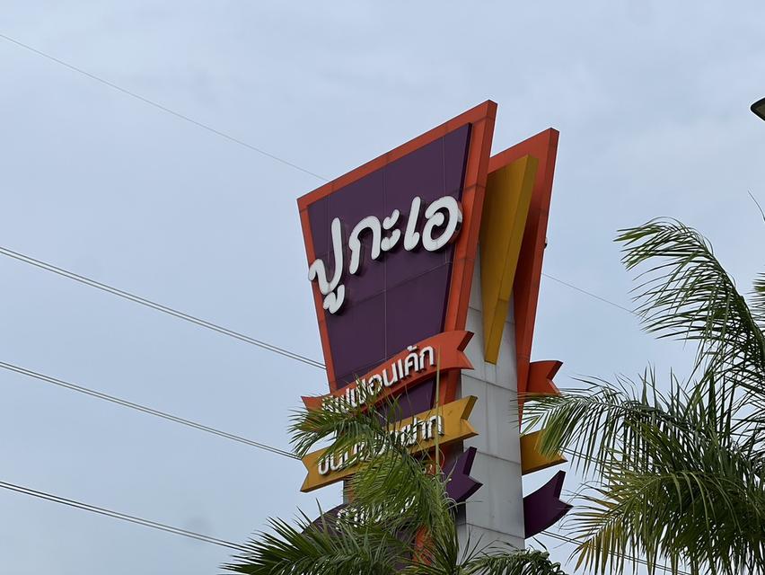 ที่ดิน ติดถนนสุวินทวงค์ ทำเลค้าขาย ฉะเชิงเทรา กรุงเทพ ขนาด 544 ตรวา 16.9 ล้าน 17