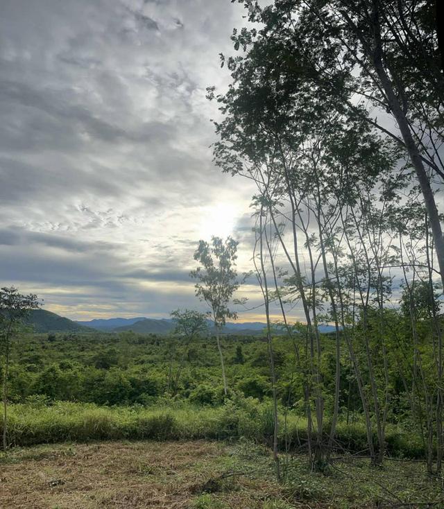 ขายที่ดินเพชรบุรี ทำเลงาม 6