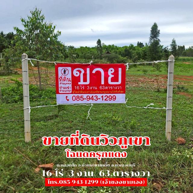 ขายที่ดิน 16 ไร่ 3 งาน 63 ตารางวา ติดถนนลาดยาง วิวภูเขา จ.กาญจนบุรี 30,000,000 บาท 2