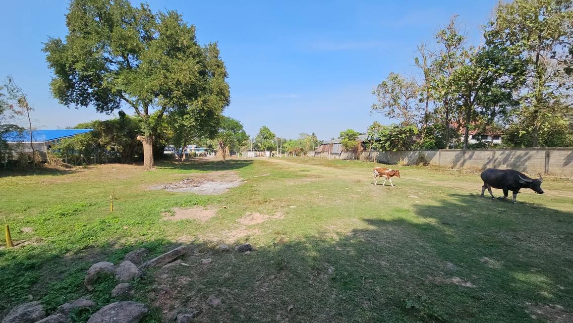 ต้องการขายที่ดิน จำนวน 15.1.58 จังหวัดราชบุรี อำเภอปากท่อ บรรยากาศดีใกล้แหล่งความเจริญ น้ำไฟพร้อม 6