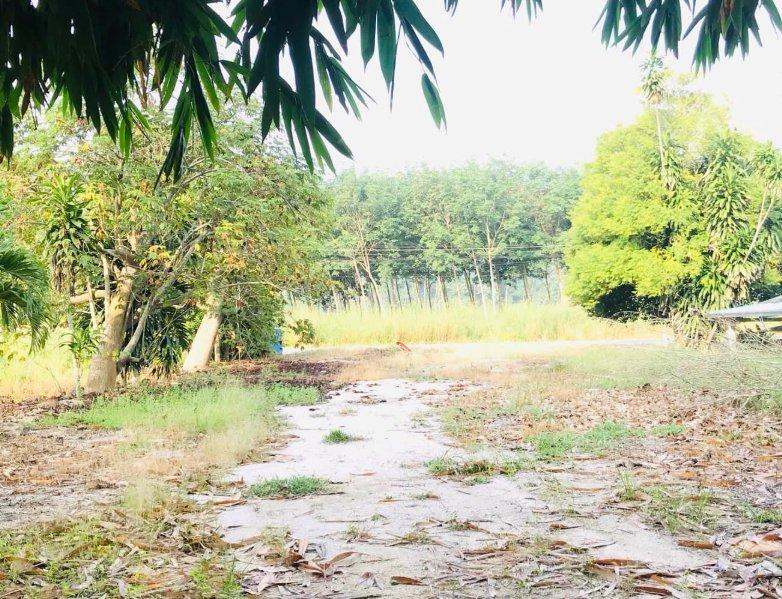 ขายที่ดินแม่น้ำคู้ถมแล้ว 120 ตรว. ใกล้นิคมWHA4(แยกพวงมาลัย)-2กม. อ.ปลวกแดง จ.ระยอง 6