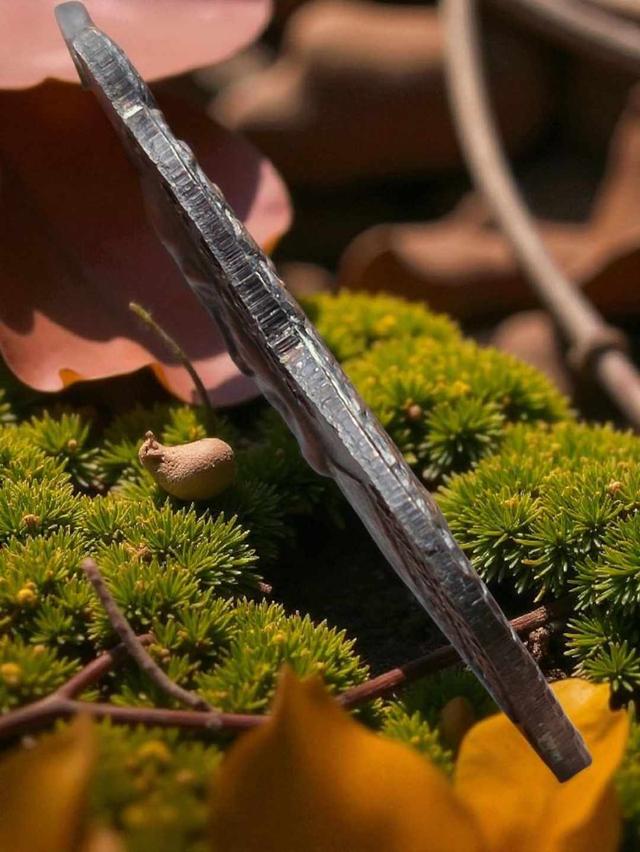 17/11#ขายพระบ้านเก่าเก็บ 3