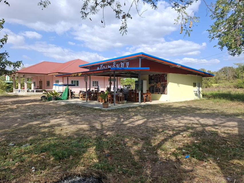 ที่ดินพร้อมอสังหา 9 ไร่ 1 งาน 8 ตารางวา 3